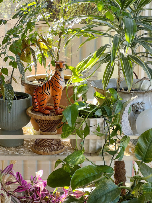 Amongst the Plants with Fern the Tiger Statue