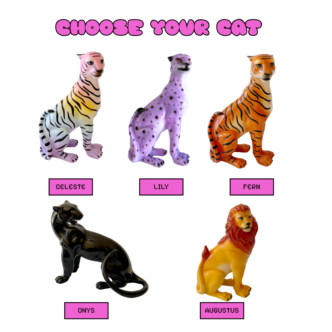 Mix & Match Cats - Small