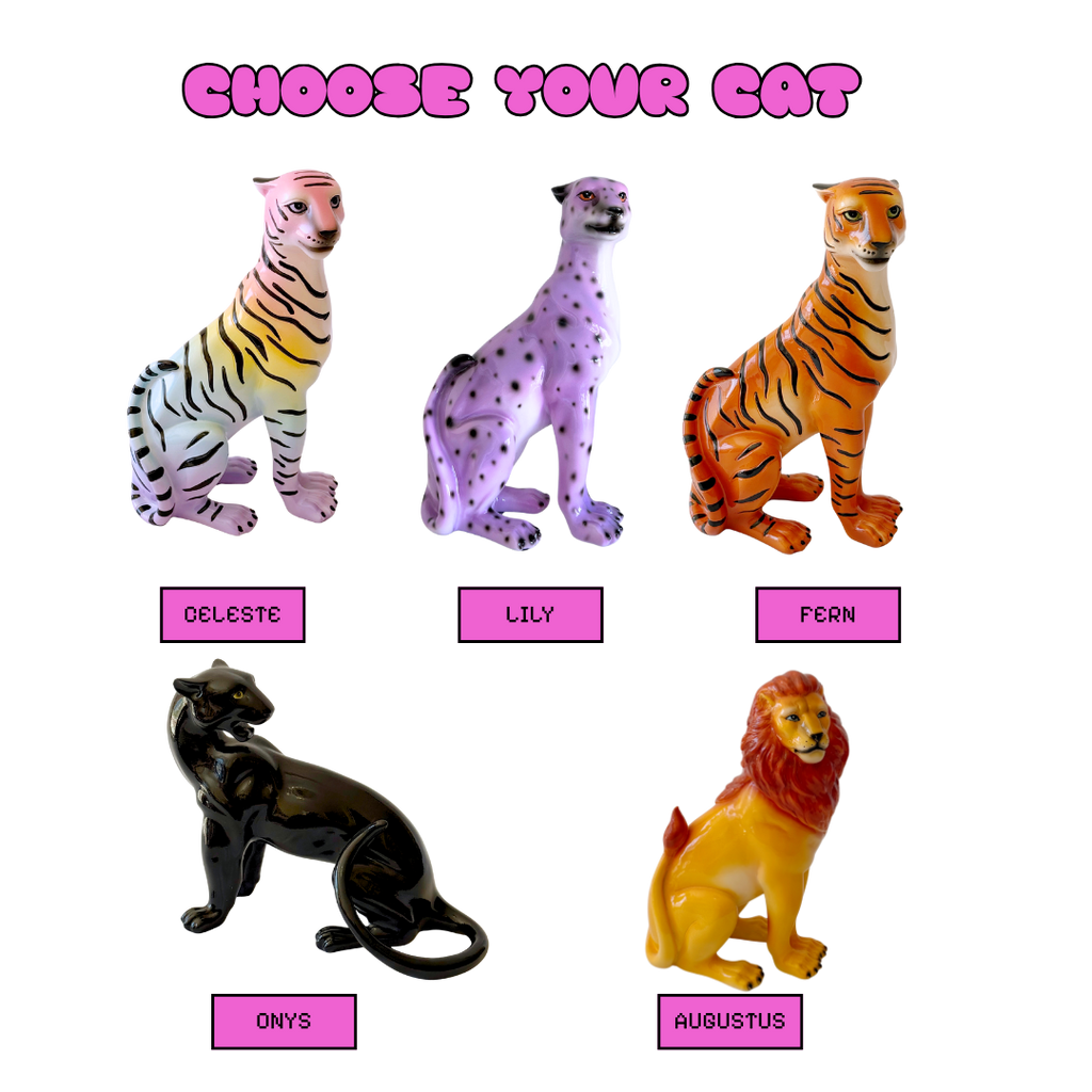 Mix & Match Cats - Small