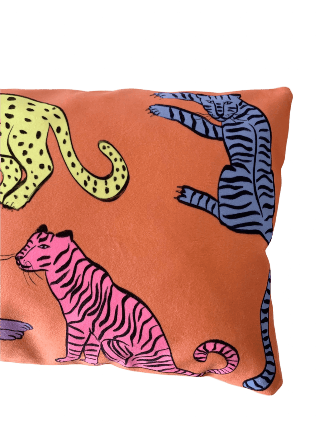 colourful cat cushion cover