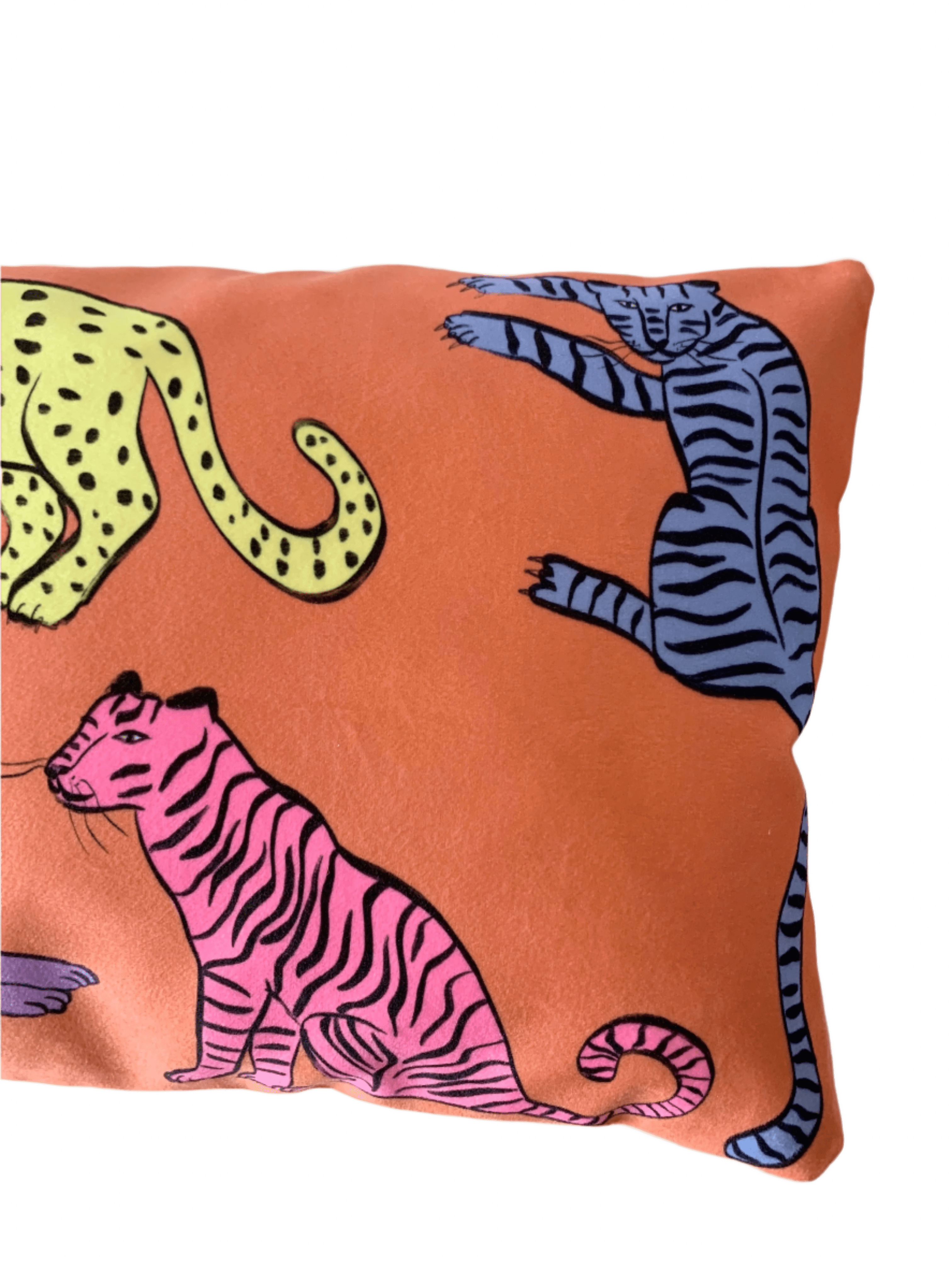 colourful cat cushion cover