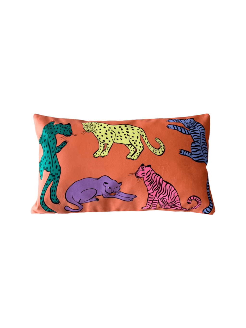 colourful cushion cover