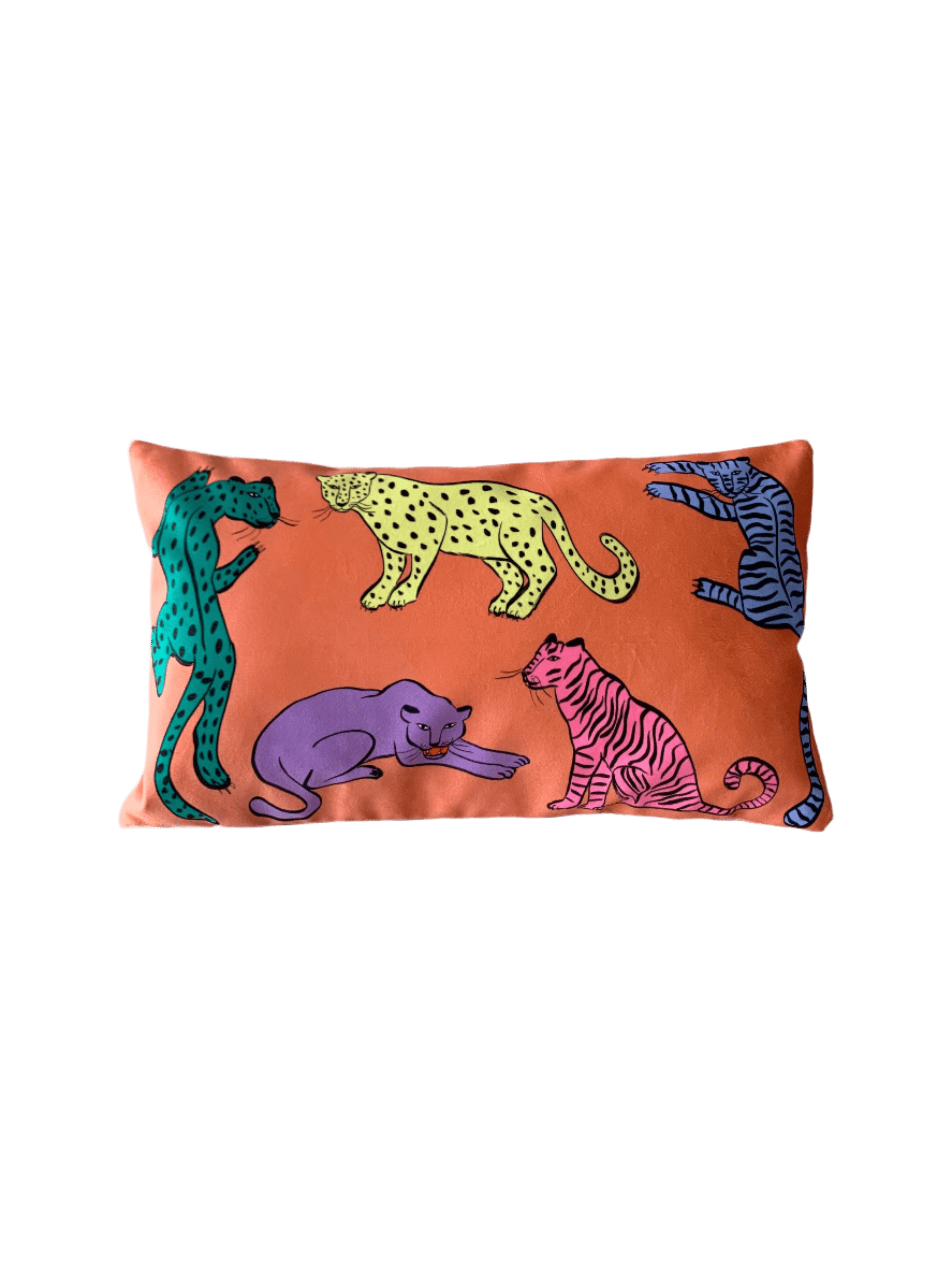 colourful cushion cover