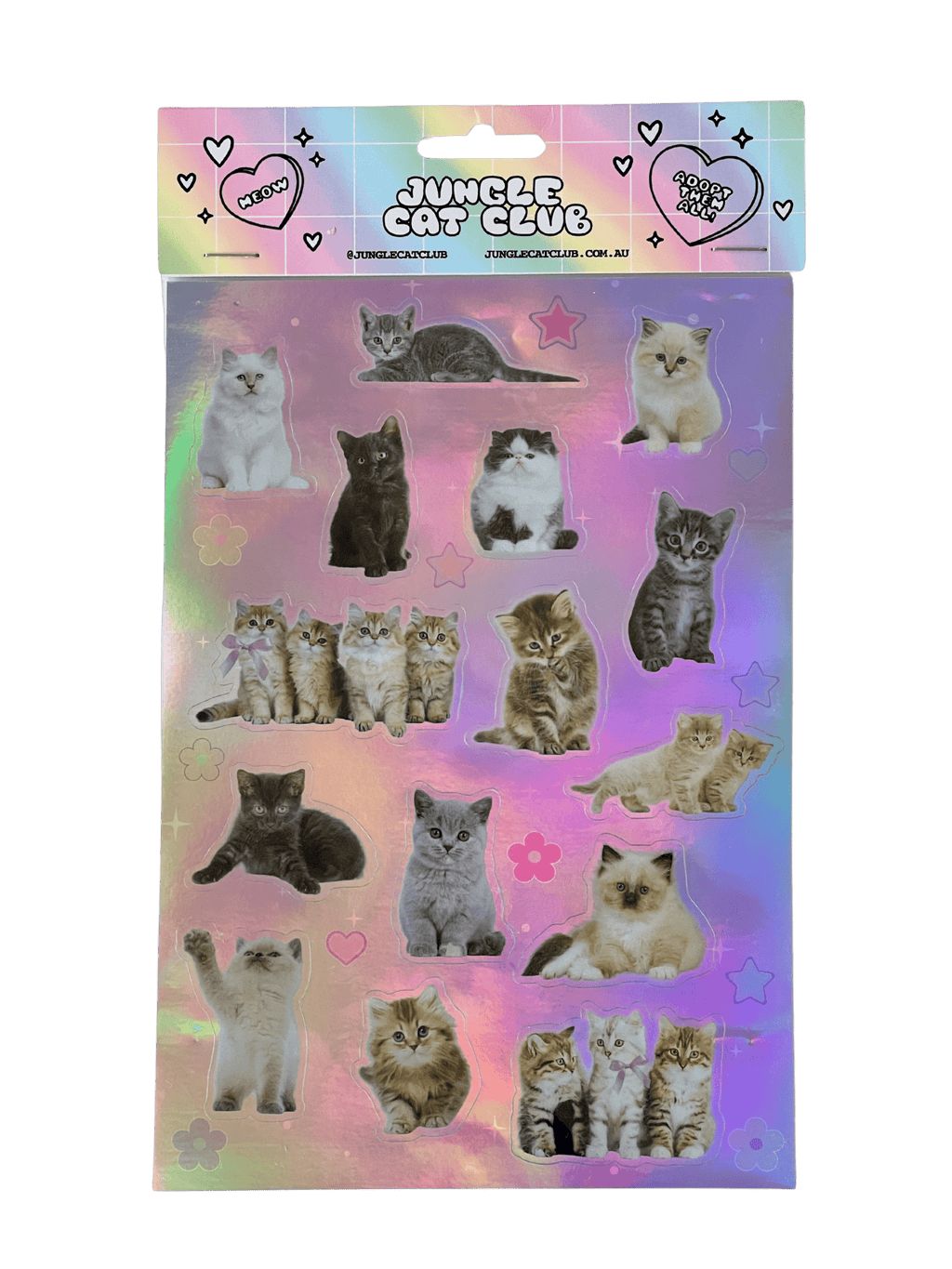 kittens sticker sheet with holographic background