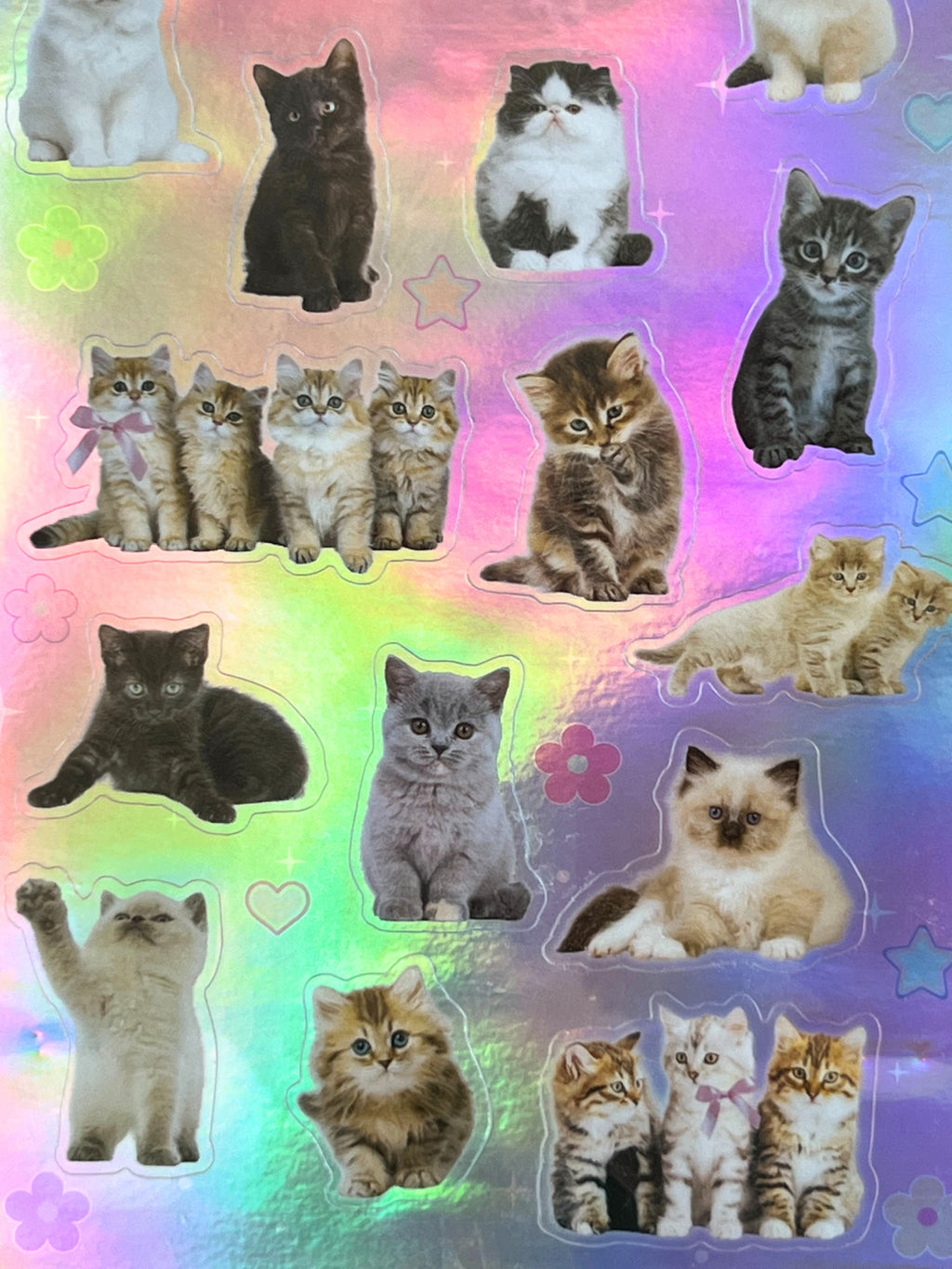 kittens sticker sheet with holographic background