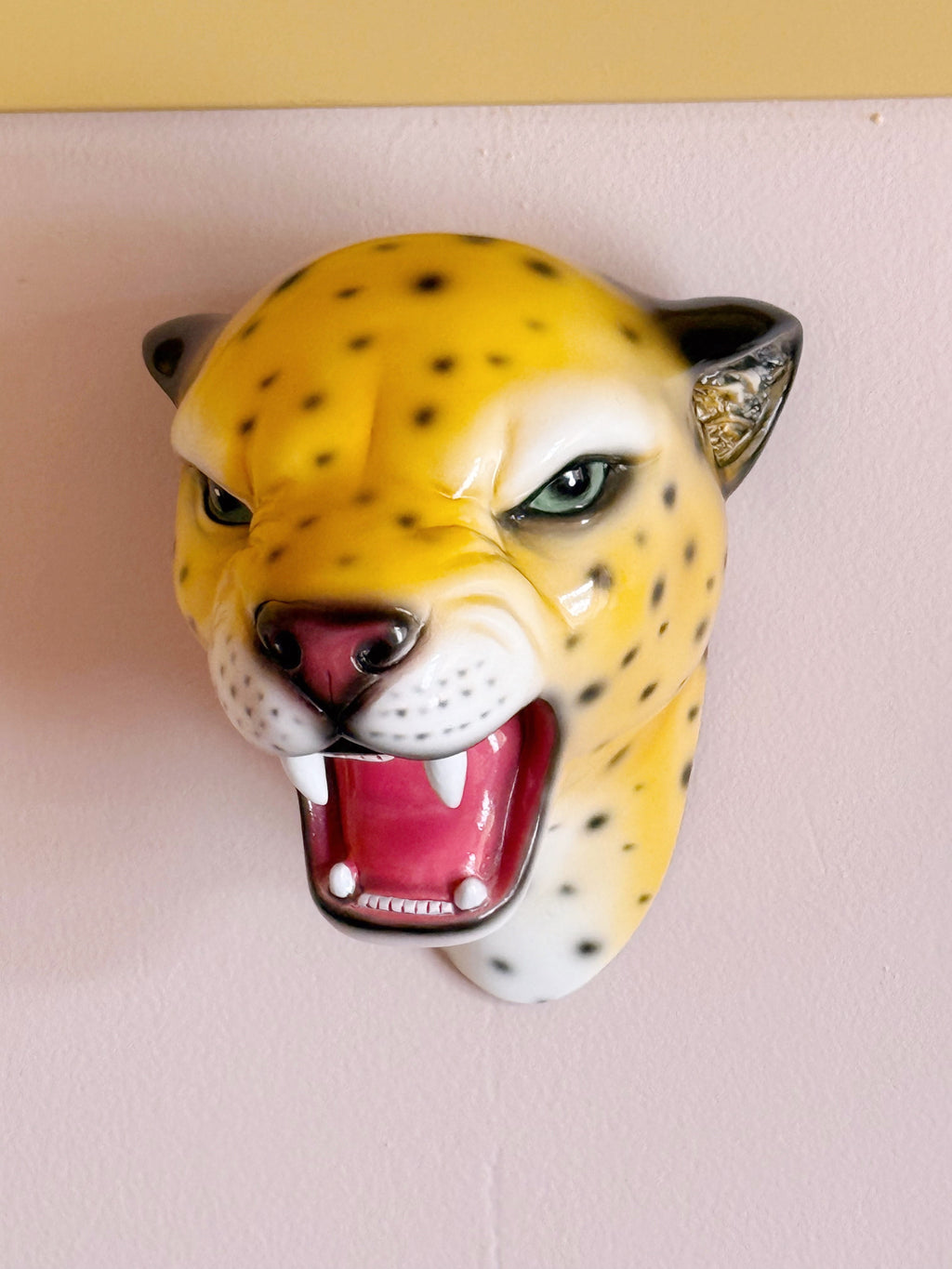 Pre-Order Saffron the Natural Leopard Wall Mounted Head