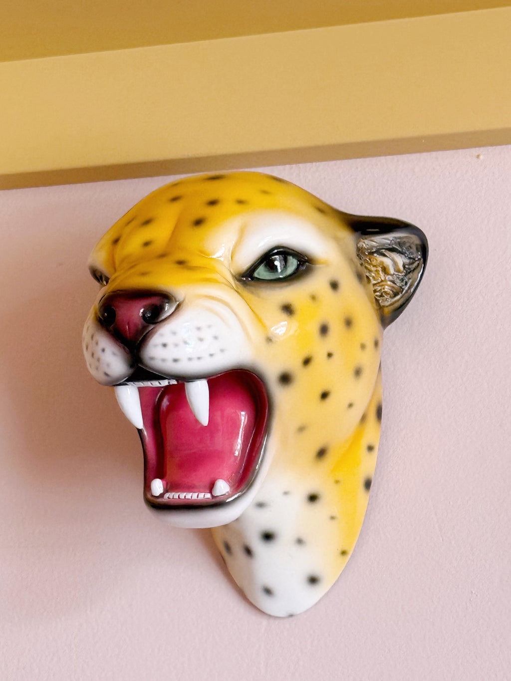Pre-Order Saffron the Natural Leopard Wall Mounted Head