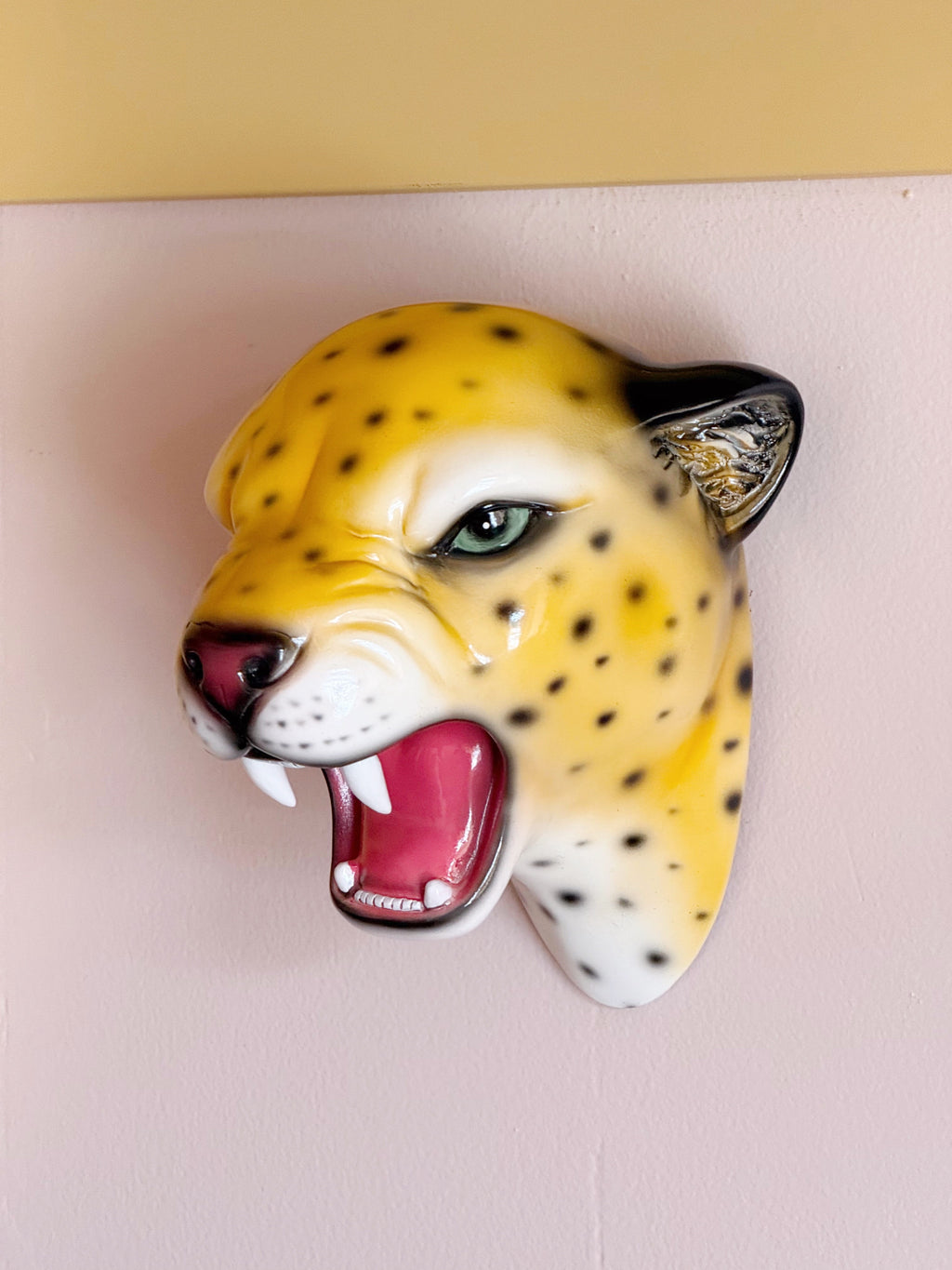 Pre-Order Saffron the Natural Leopard Wall Mounted Head