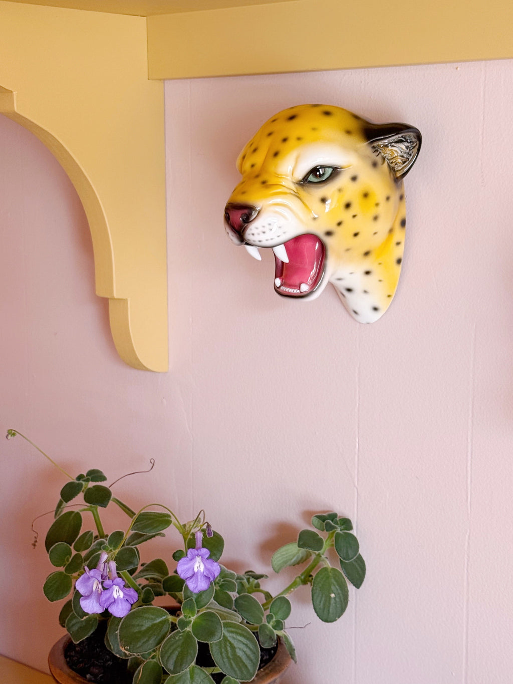 Pre-Order Saffron the Natural Leopard Wall Mounted Head