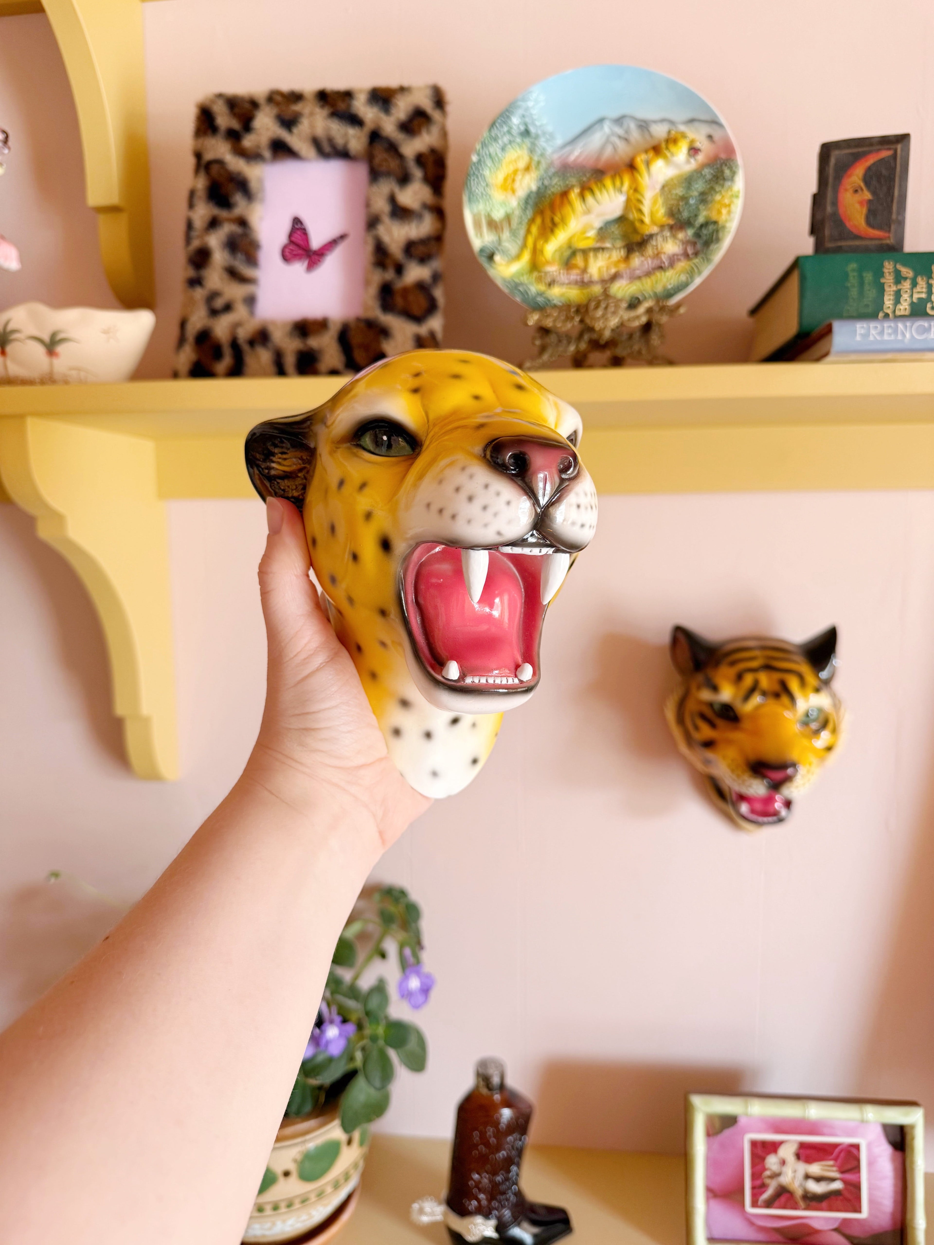 Pre-Order Saffron the Natural Leopard Wall Mounted Head